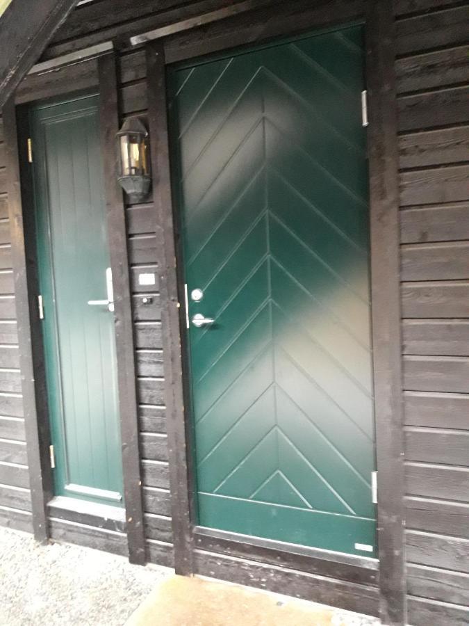Apartement Roldal Alpingrend المظهر الخارجي الصورة